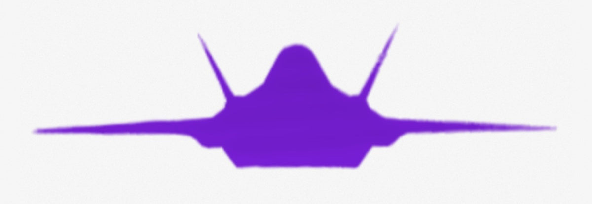 Color Changing (Purple to Pink) F-35 fighter jet vinyl decal, plain jet silhouette