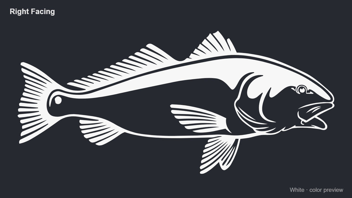 White red drum redfish decal, right facing